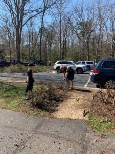 pruning bushes